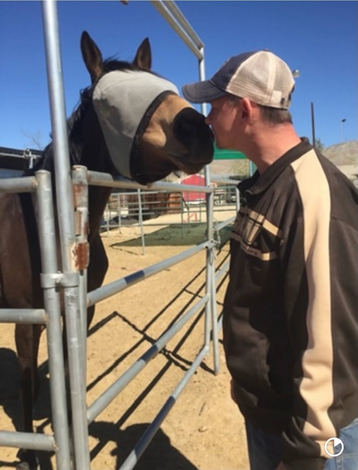 Reciprocal Rescue The Coachella Valley Horse Rescue Helps Horses—and