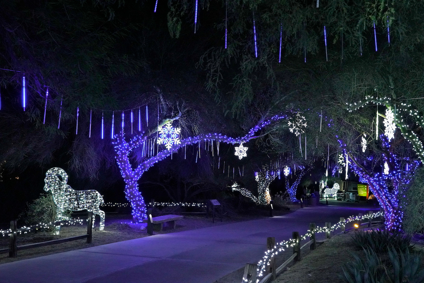 Snapshot: WildLights Continues at The Living Desert Through Dec