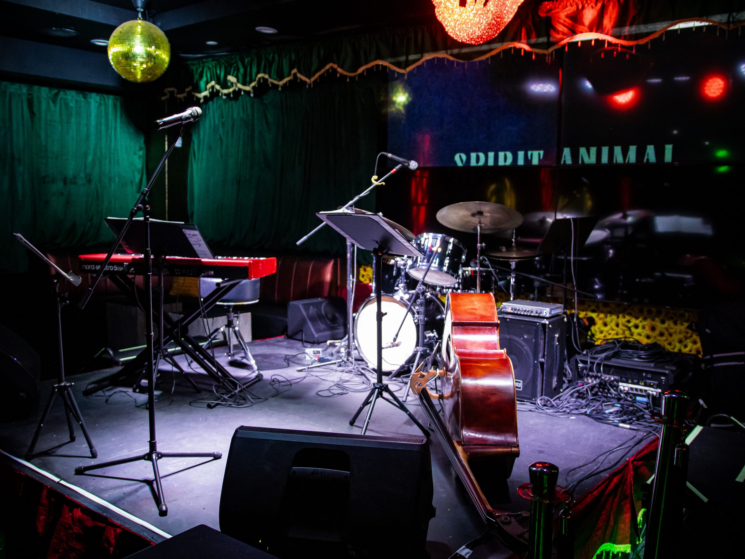 Versatile Venue: Take Five Entertainment&rsquo;s Adam Levy Has Big Ideas for Spirit Animal, the Renamed Club/Entertainment Space at Hotel Zozo